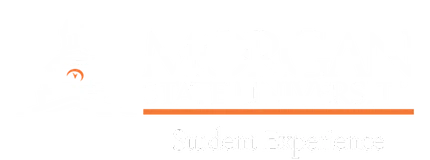 The Morgan State Student Experience Logo
